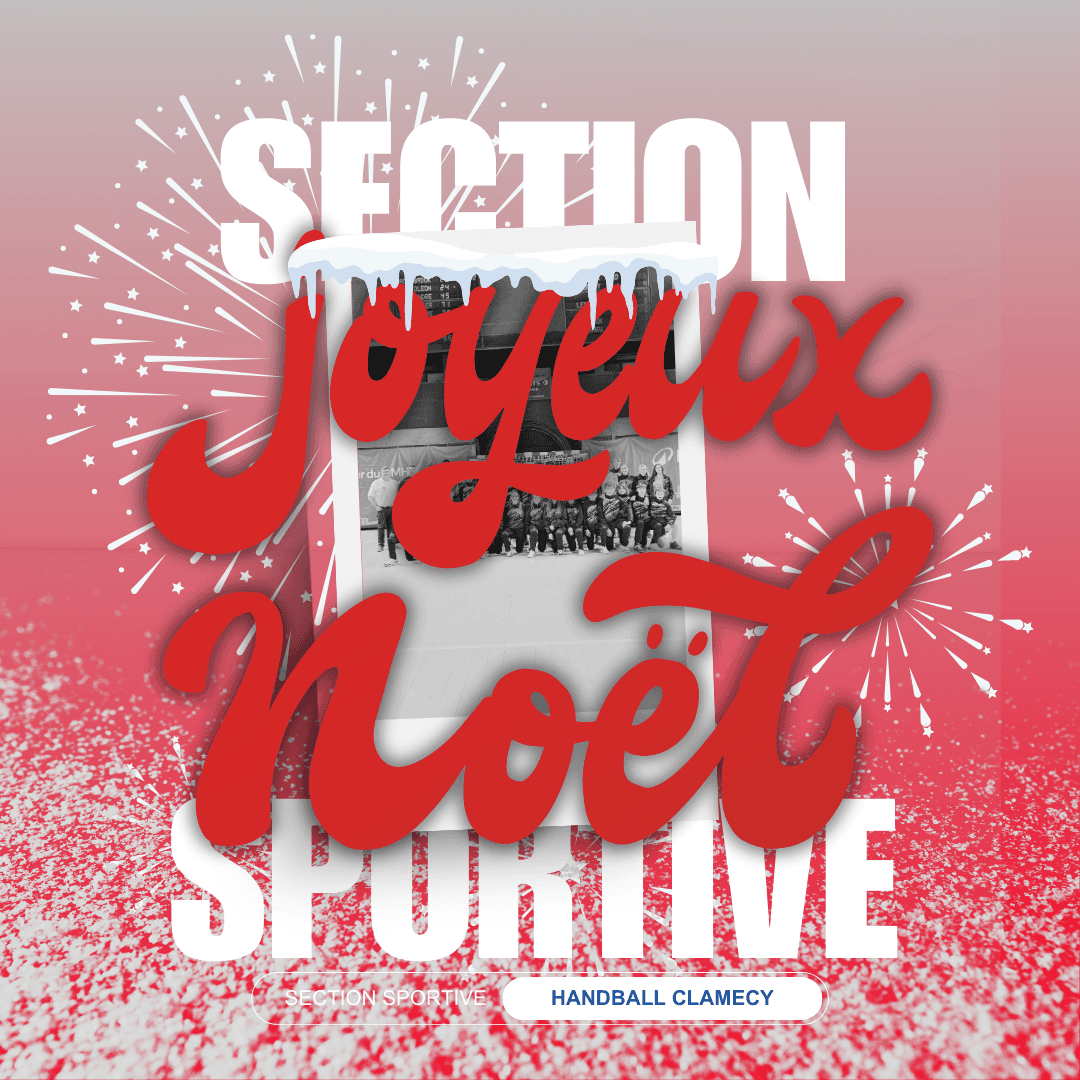 Joyeux Noël 🎄🎅🏼